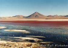 Bolivia: Salar de Uyuni Laguna Colorada
