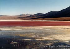 Bolivia: Salar de Uyuni Laguna Colorada