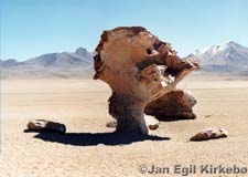 Bolivia: Salar de Uyuni Stone Tree
