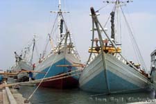 Indonesia: Boats of the Bugis people in Jakarta harbor
